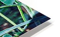 BEEtiful RezN888 Holt HD Metal print