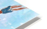 Barton Springs. Zach C HD Metal print
