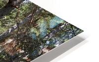  Rocky Forest Landscape in the Scottish Highlands                                                                                                                     HD Metal print