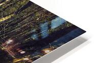 Mysterious Cypress Swamp HD Metal print