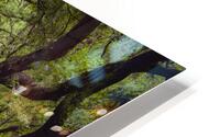 Enchanted Forest Scene HD Metal print