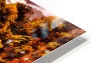 The Wondering Sea HD Metal print