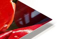 Poppy HD Metal print