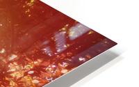 Autumn Leaves HD Metal print