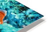 1995 021 HD Metal print