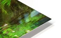 Willow Creek Female HD Metal print