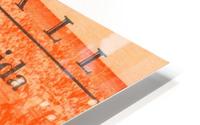 unique florida gifts HD Metal print