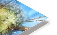 Tree Ship HD Metal print