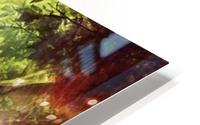 Forest Probes HD Metal print