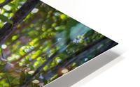 Twisted Vine HD Metal print