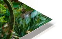 Green Arch HD Metal print