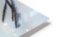 Frost HD Metal print