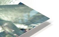 Ice Dragonfly HD Metal print