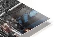 Cat Tracks- Black and White HD Metal print