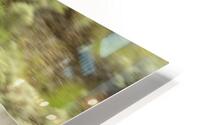 Lean Green Machine HD Metal print