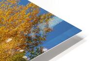 Aspen Photobomb HD Metal print