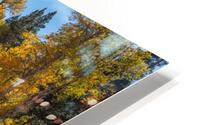 Reflecting Aspens HD Metal print