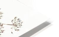 Cow parsley flower HD Metal print