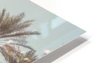 Palm Trees HD Metal print