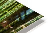 Straight and True HD Metal print