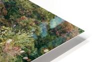 Butler Pond HD Metal print