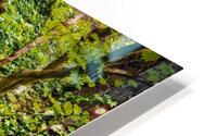 Japanese Garden Portland 10 HD Metal print