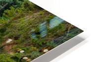 Japanese Garden Portland 8 HD Metal print
