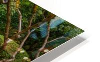 Japanese Garden Portland 4 HD Metal print