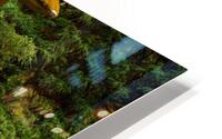 Japanese Garden Portland 3 HD Metal print