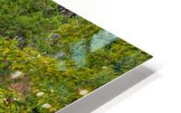 Japanese Garden Portland 2 HD Metal print