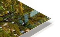 Japanese Garden Portland HD Metal print