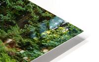 Japanese Garden Portland 13 HD Metal print