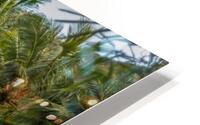 Lagoon HD Metal print