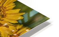 yellow HD Metal print