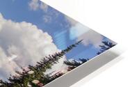 Meadows In The Sky 2 HD Metal print