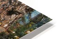 Chipmonk Tree HD Metal print