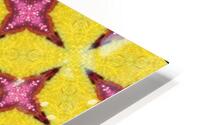 yellowpink HD Metal print