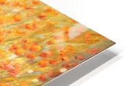 Poppyrazzi 5H  HD Metal print