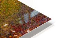 Swallowed by Fall Colors HD Metal print