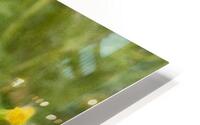 DREAMY WEEDS - ByZo Art Photography HD Metal print