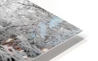 Roots HD Metal print