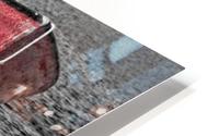 Red Dorries HD Metal print