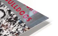 1966 Vince Dooley Georgia Bulldogs Art HD Metal print