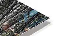Boardwalk in the Woods HD Metal print