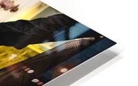 Sushi-Factory HD Metal print