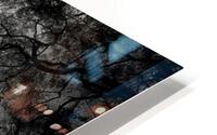 Primary forest HD Metal print