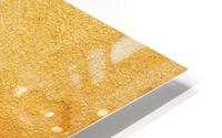 Golden Beach I HD Metal print
