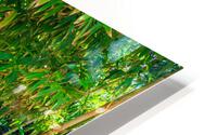 Bamboo HD Metal print