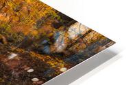 Ricketts Glen in the fall HD Metal print