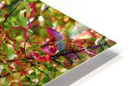 Autumn Dream HD Metal print